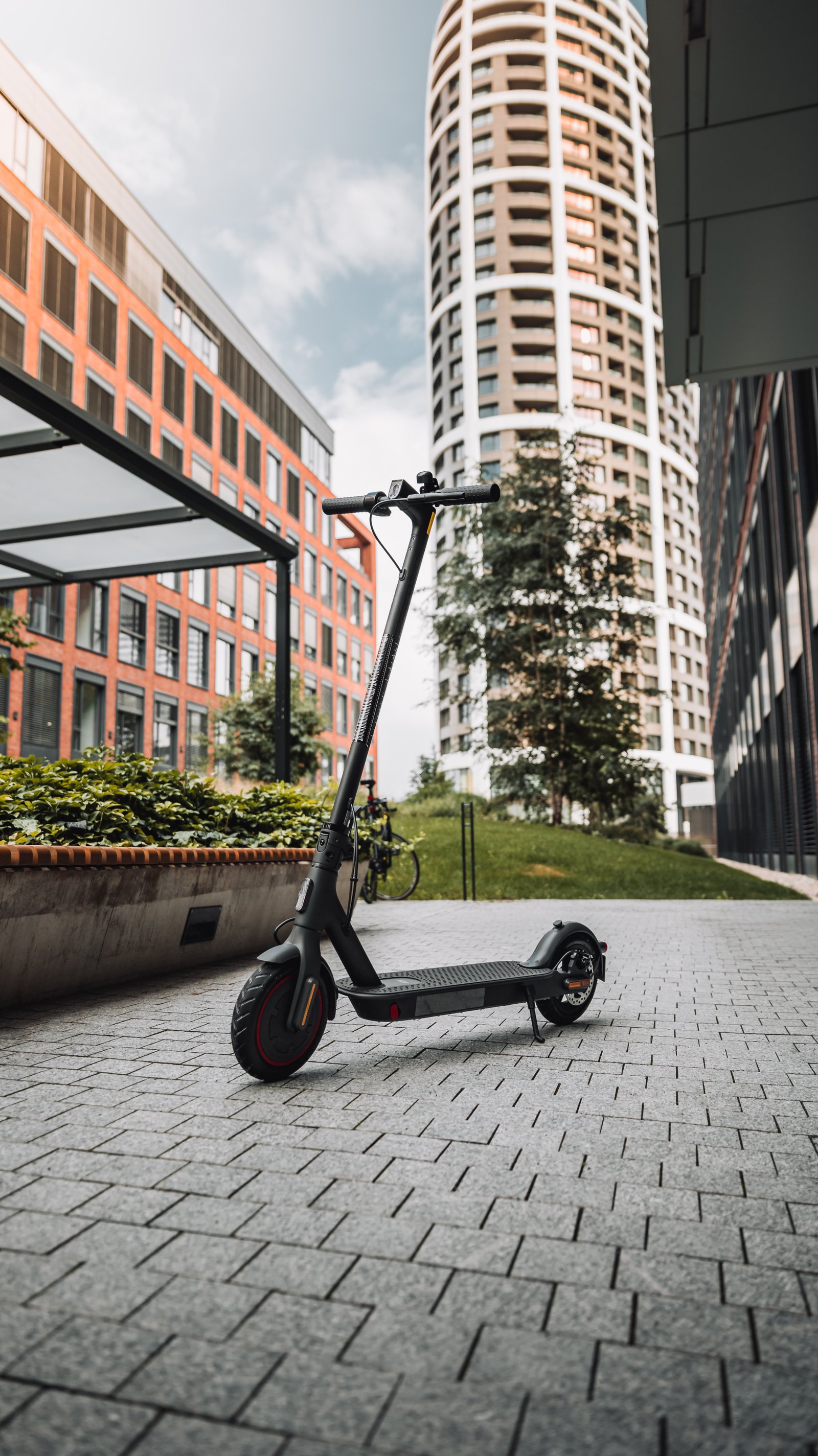 What Essential Information Should Every Electric Scooter Beginner Know?